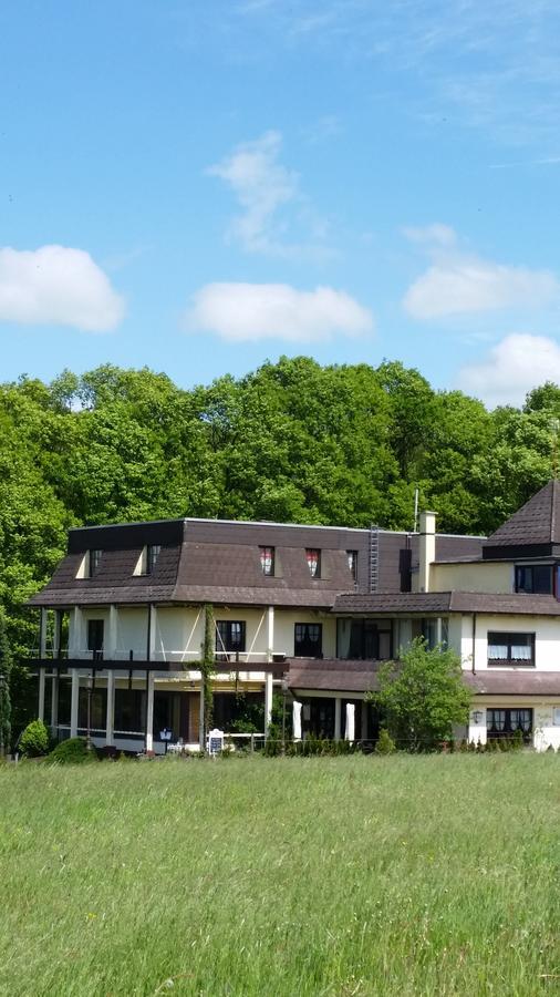 Landhotel Zum Doppeldecker Kirchen (Rhineland-Palatinate) Exterior photo